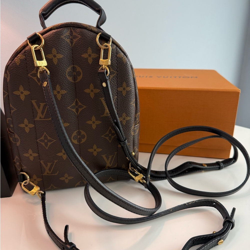 SOLD Louis Vuitton Palm Springs Mini Backpack - Picture 2 of 16